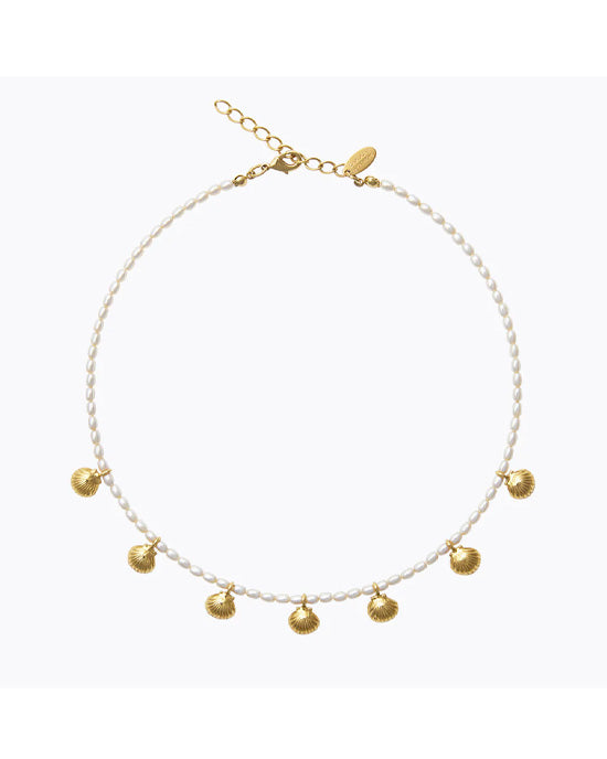 Shell Pearl Choker