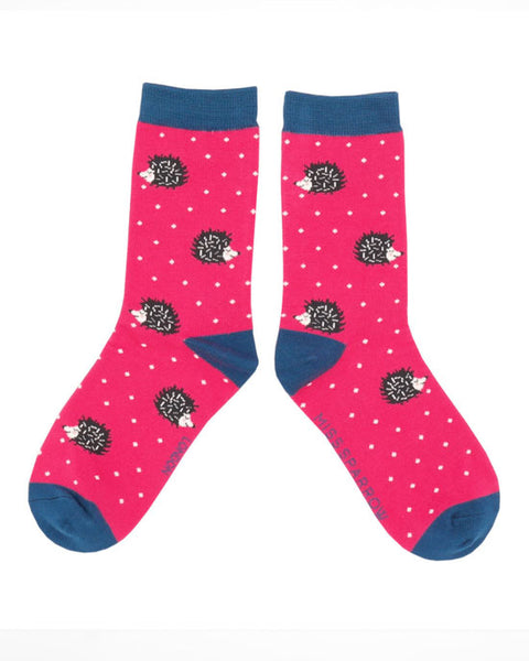 Sleepy Hedgehog Socks - shopatstocks