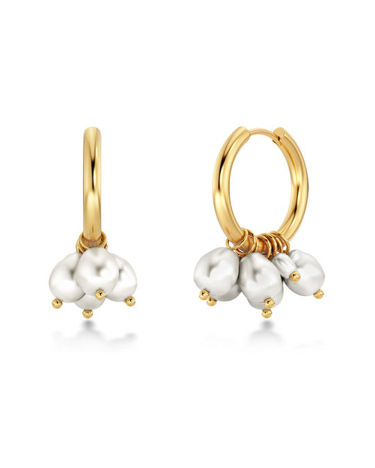 Pearl Signet Hoops Gold