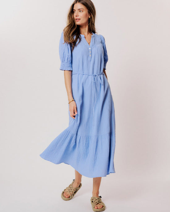 Alex Dress Hydrangea - shopatstocks