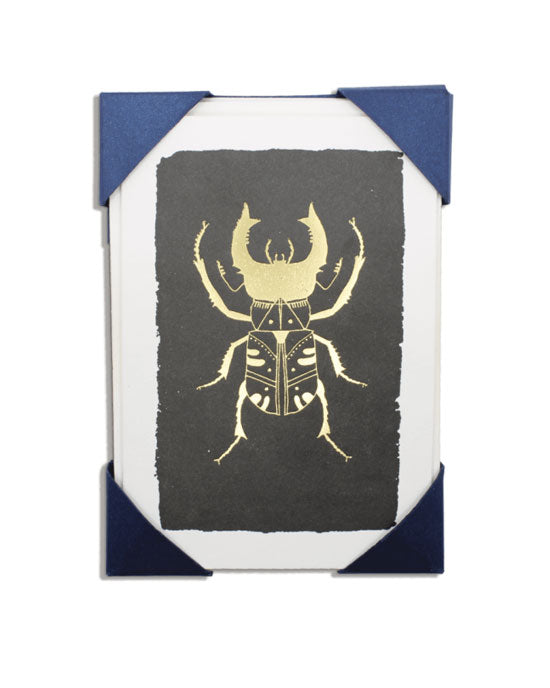 Black Bug Cards Pack of 5