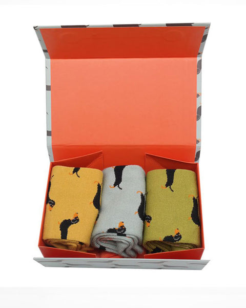 Miss Sparrow Little Sausage Dogs Socks Box (3 pairs)
