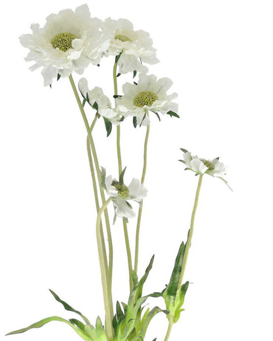 Faux Flower Scabious White L63cm