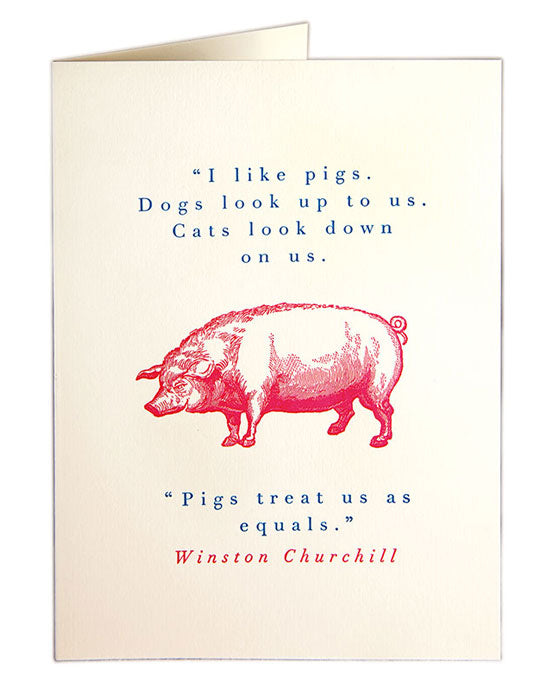 Winston Churchil Pigs Card - shopatstocks