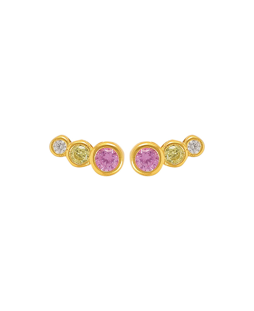 Lucian Pink Multi earrings