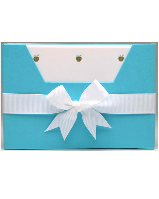Turquoise Notecards Wallet - shopatstocks